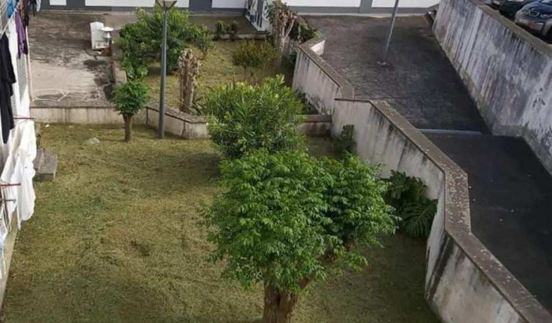 Apartamento Orquidea Ponta Delgada Extérieur photo